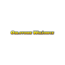 Logo Odlotowe Wieżowce
