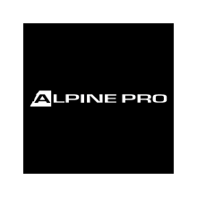 Logo Alpine Pro